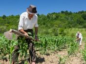 PAA Estadual tem quase R$ 15 mi para compra de produtos da agricultura familiar