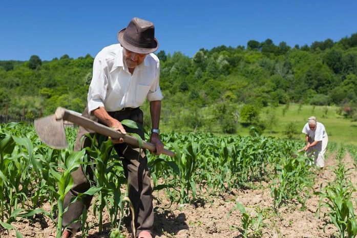 PAA Estadual tem quase R$ 15 mi para compra de produtos da agricultura familiar