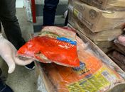 Alimentos estavam estragados ou fora do prazo de validade.
