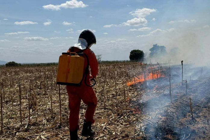 Mais de 70 casos em 10 dias: Bombeiros registram aumento de 80% em queimadas florestais