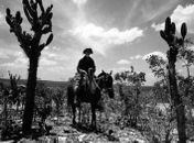 O filme de Nelson Pereira dos Santos se tornou um dos mais conhecidos do Cinema Novo