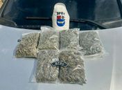 PM apreende 24 armas de fogo e 74 Kg de drogas na última semana em Alagoas