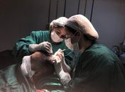 Cirurgiã garante que em dois momentos de seis horas cada, durante dois dias seguidos o serviço fica concluído