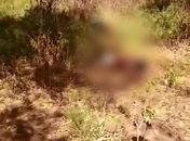 Cadáveres foram encontrados em área de mata na zona rural de Arapiraca