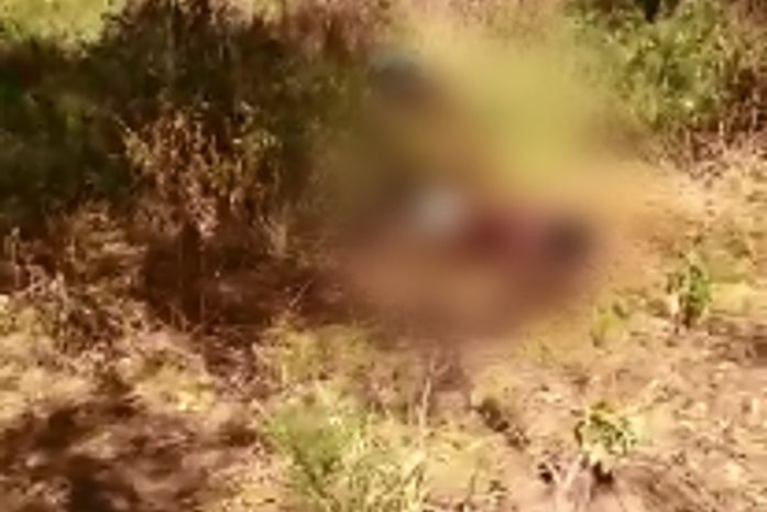 Cadáveres foram encontrados em área de mata na zona rural de Arapiraca