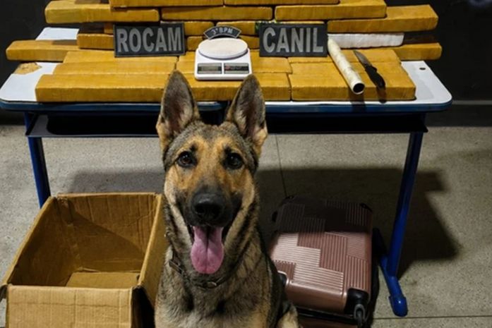 Casal é preso com mais de 25 kg de drogas após perseguição policial em Arapiraca