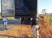 Veículo de carga foi encontrado em rodovia