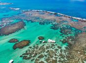 Colapso dos corais: aquecimento e poluição ameaçam ecossistemas, pesca e turismo entre AL e PE