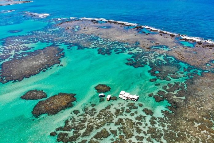 Colapso dos corais: aquecimento e poluição ameaçam ecossistemas, pesca e turismo entre AL e PE