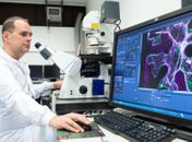 Cientistas desenvolvem método para produzir leite materno em laboratório