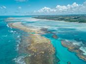 Projeto Rota dos Corais conecta Pernambuco e Alagoas em iniciativa inédita de turismo sustentável no litoral nordestino