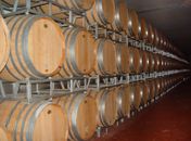 IFAL abre inscrições para curso de Produção de Aguardente
