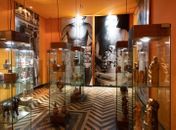 Museu Theo Brandão está parcialmente aberto para visitação da sociedade

