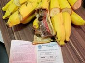 Banana com maconha escondida