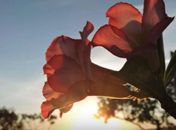 Frio chega no Norte, e Tocantins tem 12°C de temperatura