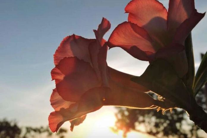 Frio chega no Norte, e Tocantins tem 12°C de temperatura