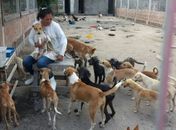 Centro de acolhimento de cães e gatos realiza mutirão para arrecadação de donativos
