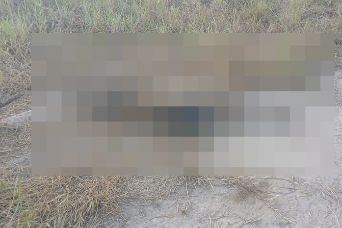Corpo em decomposição é encontrado por crianças que brincavam de soltar pipa em Maceió