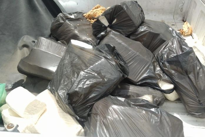 Risco à saúde: 300 kg de queijo impróprio levam Visa a interditar pastelaria no Vergel; veja