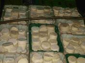 Imagem meramente ilustrativa