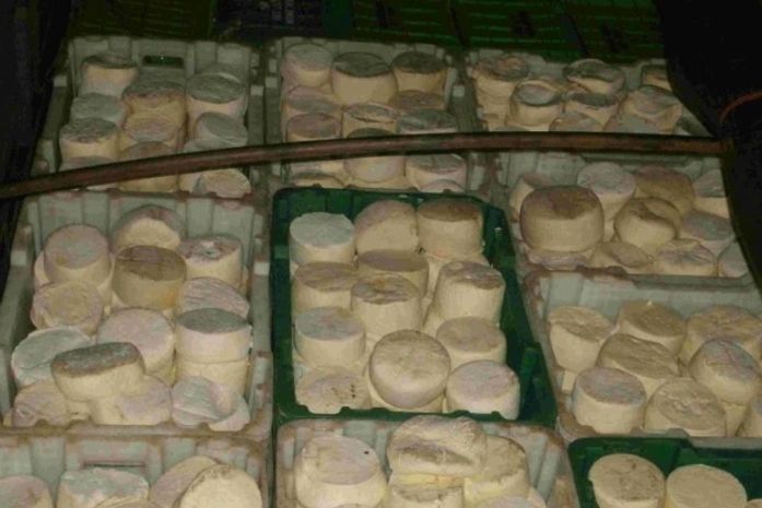 Imagem meramente ilustrativa