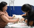 No Dia Mundial dos Animais, Prefeitura destaca avanços das políticas de bem-estar animal em Maceió