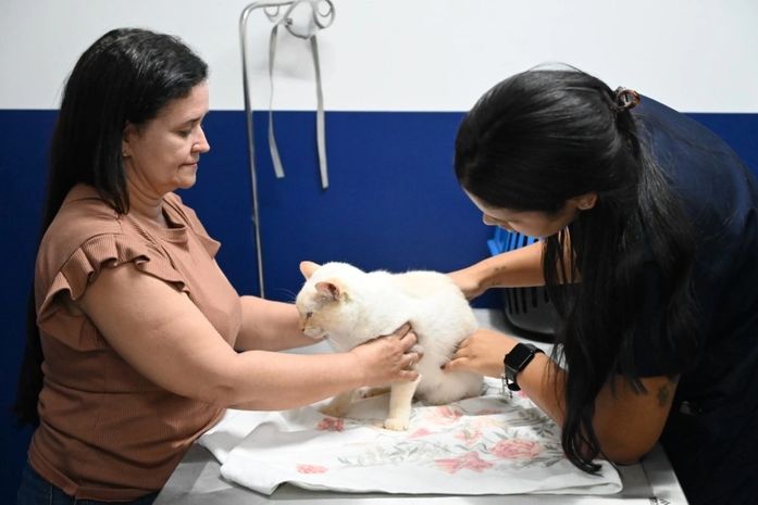 No Dia Mundial dos Animais, Prefeitura destaca avanços das políticas de bem-estar animal em Maceió