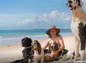 Férias chegam e trazem um dilema: viajar ou não com os pets?