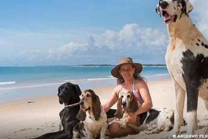 Férias chegam e trazem um dilema: viajar ou não com os pets?