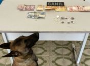 Abordagem com cão da PM em Arapiraca resulta em prisão por tráfico de drogas