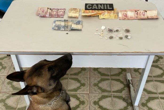 Abordagem com cão da PM em Arapiraca resulta em prisão por tráfico de drogas