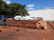 Carga de madeira apreendida foi avaliada em cerca de R$ 23 mil