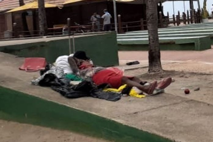 Pós-isolamento social e Quitéria voltou pra casa dela,que fica bem no meio da rua, ou como foi seu domingo, hoje?