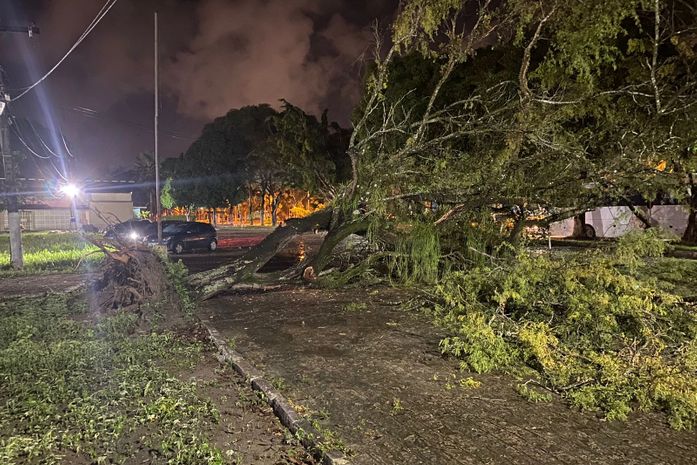 Árvore cai em cima de motocicleta em estacionamento na Ufal