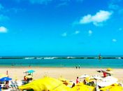 Praia do Francês