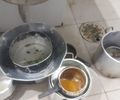 Sem alvará e com falhas sanitárias, restaurante é interditado em Maceió
