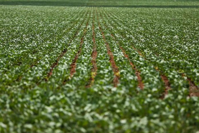 Entenda impasse entre bancada do agro e governo sobre dívidas rurais