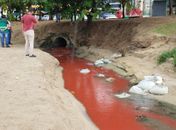 Deputado denuncia que Casal foi flagrada despejando esgoto no mar