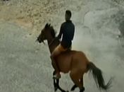CE: Assalto a cavalo é registrado em ponto de ônibus em Fortaleza