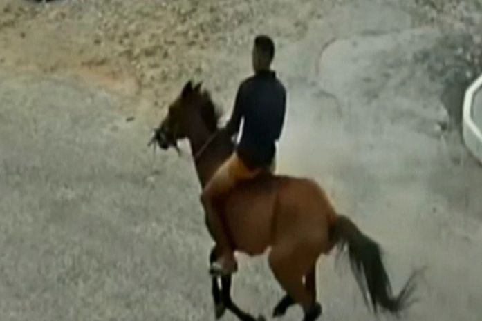 CE: Assalto a cavalo é registrado em ponto de ônibus em Fortaleza