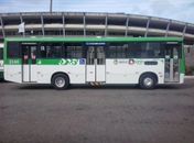 Partida entre CRB e Internacional-RS terá reforço de ônibus; veja as modificações