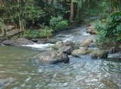 Meio Ambiente é tema de audiência pública