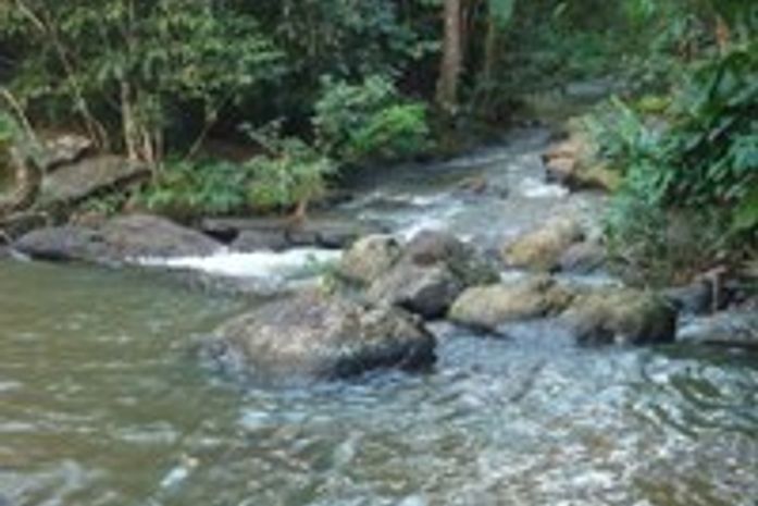 Meio Ambiente é tema de audiência pública