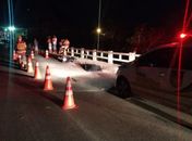 Cavalo morre após ser atropelado na AL-115, motorista deixa veículo no local