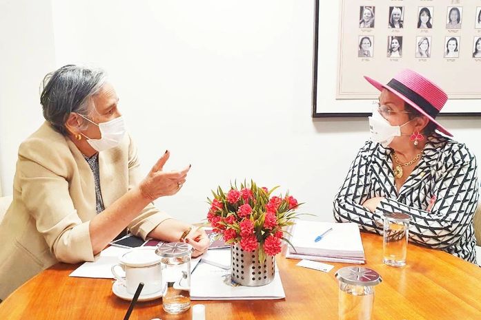 Deputada Tereza Nelma manifesta apoio a projetos do CAU Brasil