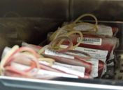 Estoque de sangue do Hemoal Maceió está abaixo do necessário para o feriadão do Réveillon