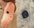 Manchas de óleo voltam a aparecer no Litoral de AL; origem ainda é desconhecida