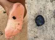 Manchas de óleo voltam a aparecer no Litoral de AL; origem ainda é desconhecida