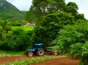 Prefeitura de Pão de Açúcar fortalece agricultura familiar com Programa de Aração de Terras