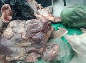 Risco à saúde: fiscalização apreende 320 kg de carnes impróprias para consumo em supermercado de Maceió